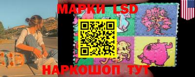 стафф Владивосток