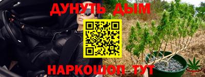 стафф Владивосток
