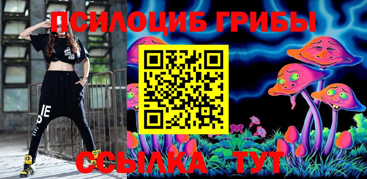Бугуруслан  Галлюциногенные грибы Psilocybine cubensis  Вход с VPN 